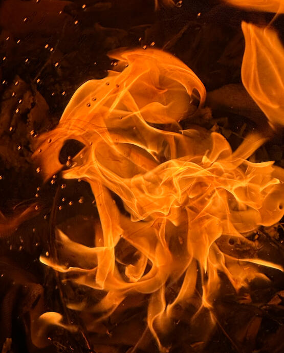 join live gatherings and seasonal ceremonies. connect with community through food and movement